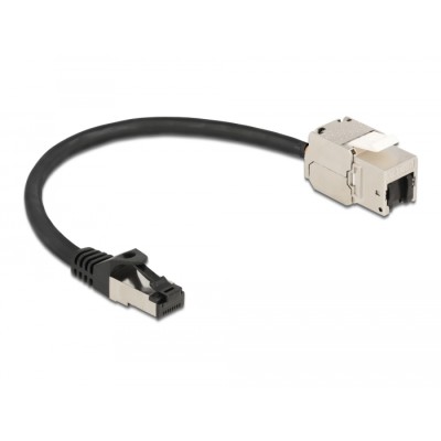 Delock Cable RJ45 plug to Keystone Module RJ45 jack Cat.6A 25 cm black 2