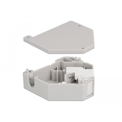Delock DIN rail Adapter with Keystone IEC female to terminal block 2