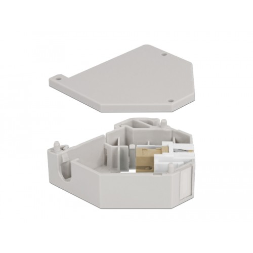 Delock DIN rail Adapter with Keystone SC Simplex female to SC Simplex female beige