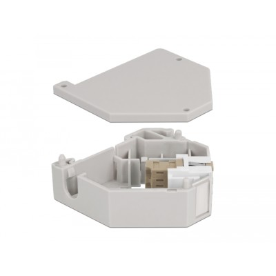 Delock DIN rail Adapter with Keystone LC Duplex female to LC Duplex female beige 2