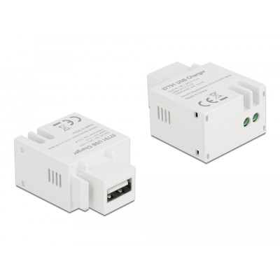 Delock Keystone Module USB Type-A Charging Port 2.1 A white 2