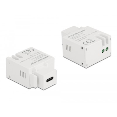 Delock Keystone Module USB Type-C™ Charging Port 2.1 A white 2