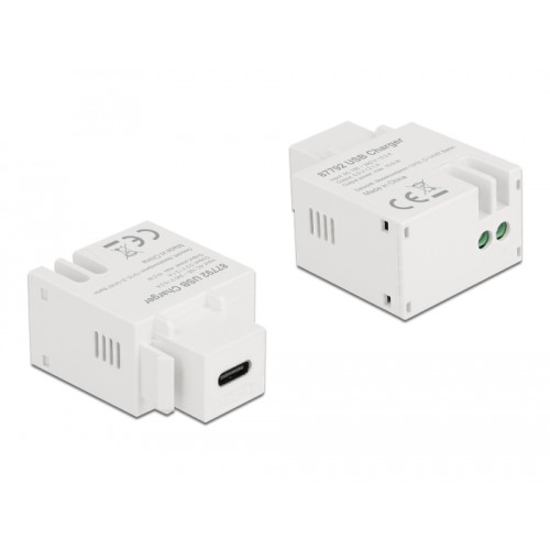 Delock Keystone Module USB Type-C™ Charging Port 2.1 A white
