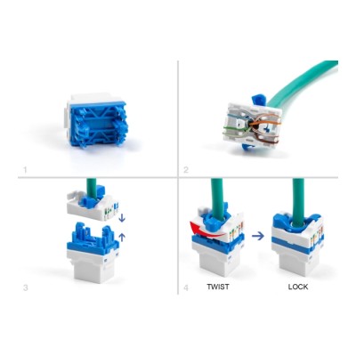 Delock Keystone Module RJ45 jack to LSA Cat.6A toolfree with blue twist lock 2