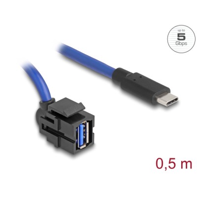 Delock Keystone Module USB 5 Gbps A female to USB Type-C™ male with cable