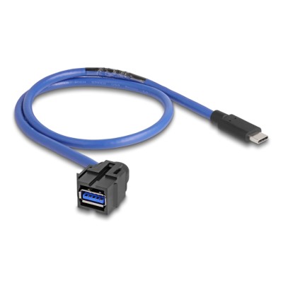 Delock Keystone Module USB 5 Gbps A female to USB Type-C™ male with cable 2