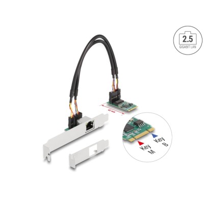 Delock Converter M.2 Key B+M 1 x RJ45 2.5 Gigabit LAN