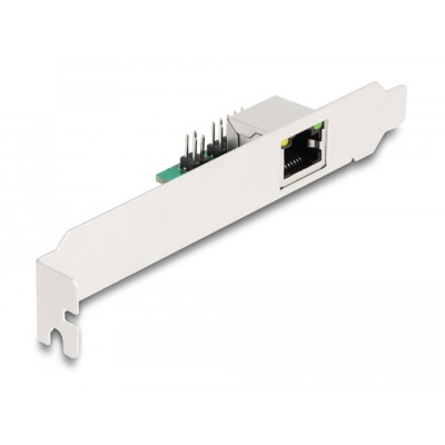 Delock Converter M.2 Key B+M 1 x RJ45 2.5 Gigabit LAN 2