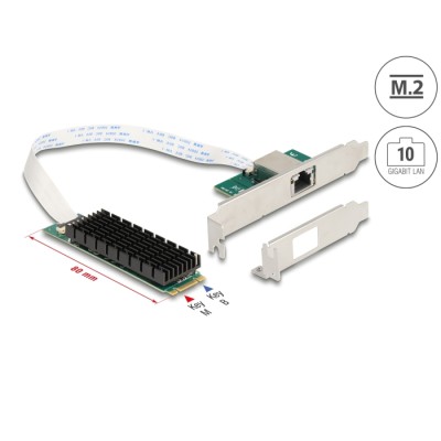 Delock M.2 Key B+M 1 x RJ45 10 Gigabit LAN Network Card