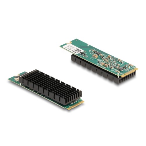 Delock M.2 Key B+M 1 x RJ45 10 Gigabit LAN Network Card