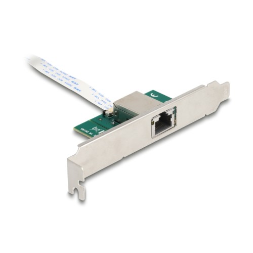 Delock M.2 Key B+M 1 x RJ45 10 Gigabit LAN Network Card