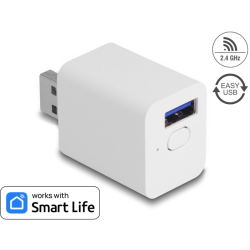 Delock WLAN EASY-USB Switch Smart Life