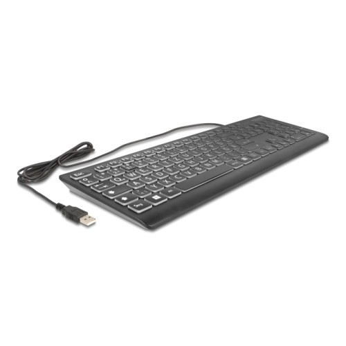 Delock USB Keyboard wired 1.5 m black with XXL Letters and Illumination