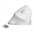 Delock Ergonomic USB Mouse vertical - wireless