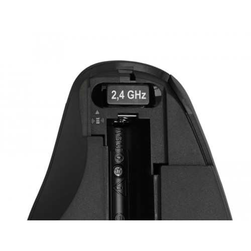 Delock Ergonomic USB Mouse - wireless