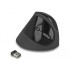 Delock Ergonomic USB Mouse vertical - wireless