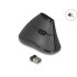 Delock Ergonomic vertical optical 5-button mouse 2.4 GHz wireless - Silent