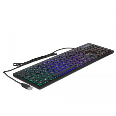 Delock USB Keyboard wired 1.5 m black with RGB Illumination