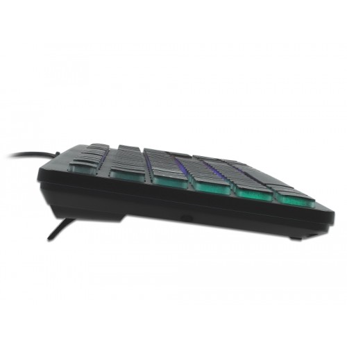 Delock USB Keyboard wired 1.5 m black with RGB Illumination