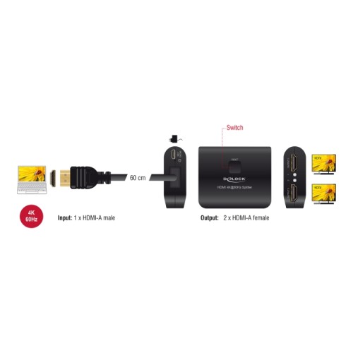 Delock HDMI Splitter 1 x HDMI in to 2 x HDMI out 4K 60 Hz with downscaler