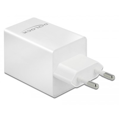 Delock USB GaN Charger USB Type-C™ PD 3.0 and USB Type-A with 48 W 2