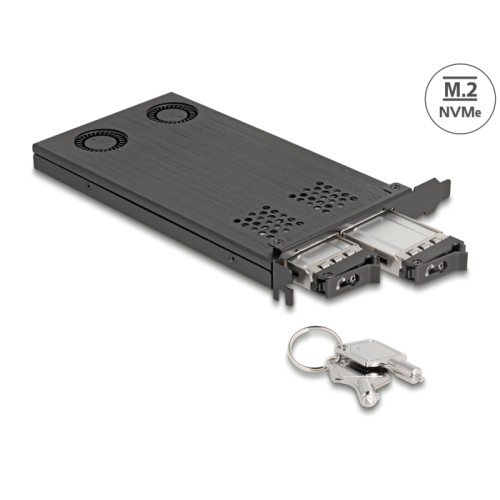 Delock PCI Express x16 Card Mobile Rack for 2 x M.2 NVMe SSD - Bifurcation
