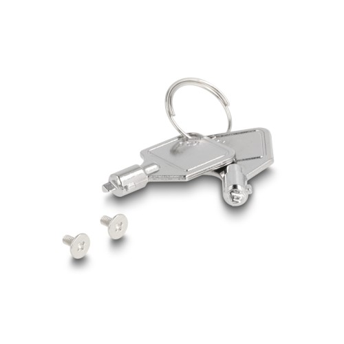 Delock PCI Express x16 Card Mobile Rack for 2 x M.2 NVMe SSD - Bifurcation