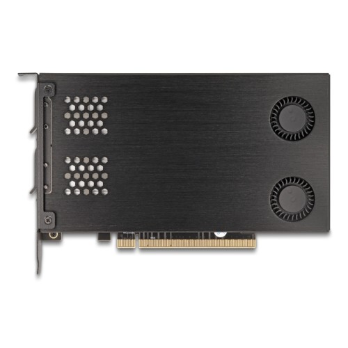 Delock PCI Express x16 Card Mobile Rack for 2 x M.2 NVMe SSD - Bifurcation