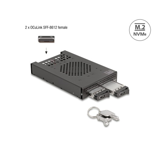 Delock 3.5″ Mobile Rack for 2 x M.2 NVMe SSD with OcuLink SFF-8612 connector