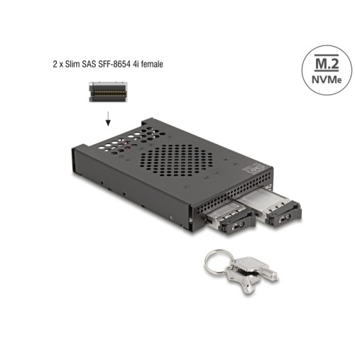 Delock 3.5″ Mobile Rack for 2 x M.2 NVMe SSD with Slim SAS SFF-8654 connector