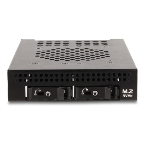 Delock 3.5″ Mobile Rack for 2 x M.2 NVMe SSD with Slim SAS SFF-8654 connector