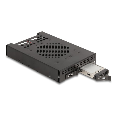 Delock 3.5″ Mobile Rack for 2 x M.2 NVMe SSD with Slim SAS SFF-8654 connector