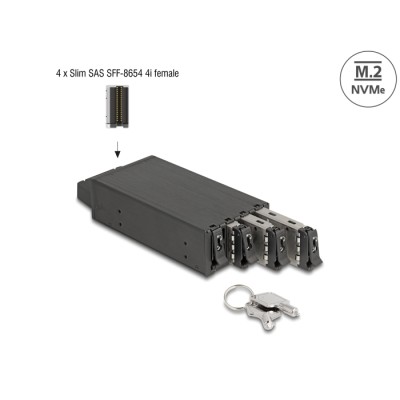Delock Slim Bay Mobile Rack for 4 x M.2 NVMe SSD with Slim SAS SFF-8654 connector