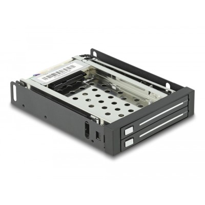 Delock 3.5″ Mobile Rack for 2 x 2.5″ SATA HDD / SSD