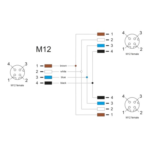 Delock M12 T-Splitter A-coded 4 pin 1 x female to 2 x female parallel connection