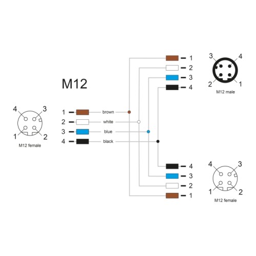 Delock M12 Y-Splitter A-coded 4 pin female to 1 x male und 1 x female parallel connection