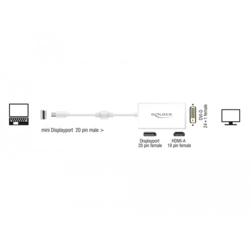 Delock Adapter mini DisplayPort 1.1 male  DisplayPort / HDMI / DVI female Passive white