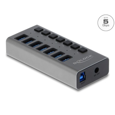 Delock External SuperSpeed USB Hub with 7 Ports + Switch