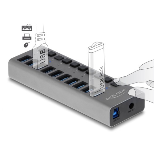 Delock External 5 Gbps USB Hub with 10 Ports + Switch