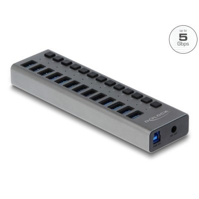 Delock External SuperSpeed USB Hub with 13 Ports + Switch