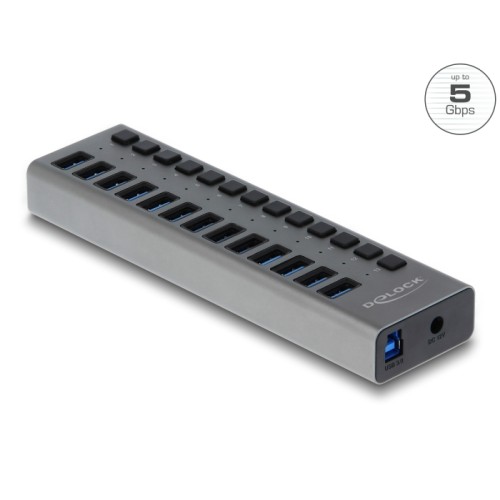 Delock External USB 5 Gbps Hub with 13 Ports + Switch