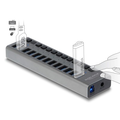 Delock External SuperSpeed USB Hub with 13 Ports + Switch 2