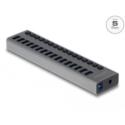 Delock External SuperSpeed USB Hub with 16 Ports + Switch