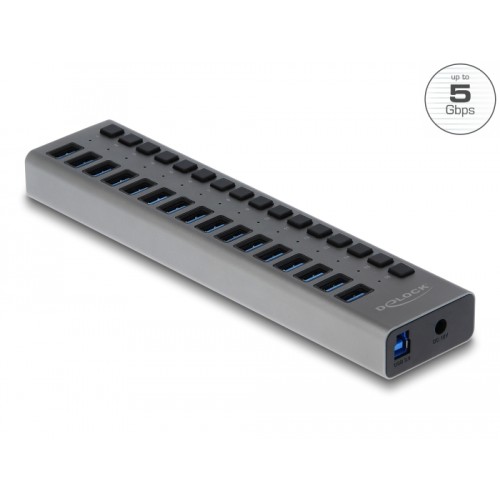 Delock External USB 5 Gbps Hub with 16 Ports + Switch