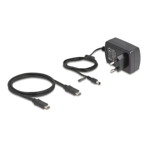 Delock USB Type-C™ 3.1 Docking Station for 2 x SATA HDD / SSD with Clone Function