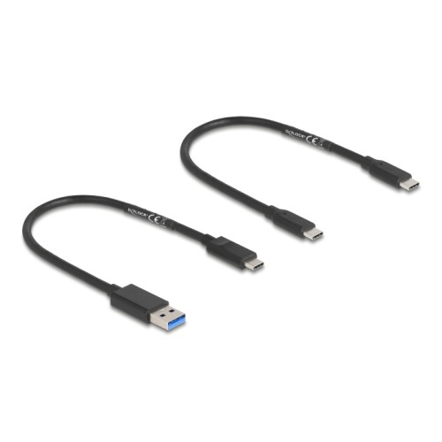 Delock M.2 Docking Station for M.2 NVMe PCIe SSD with USB Type-C™ female