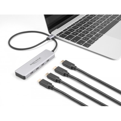 Delock USB 10 Gbps USB Type-C™ Hub with 4 x USB Type-C™ female with 35 cm connection cable 2