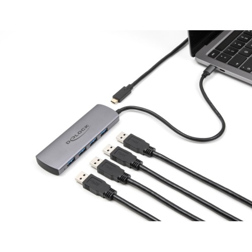 Delock USB 10 Gbps 4 Port USB Type-A Hub with USB Type-C™ connector and additional power port