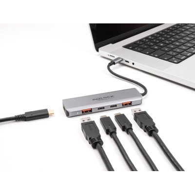 Delock USB 10 Gbps 2 Port USB Type-A + 2 Port USB Type-C™ Hub with USB Type-C™ connector and PD 95 Watt 2