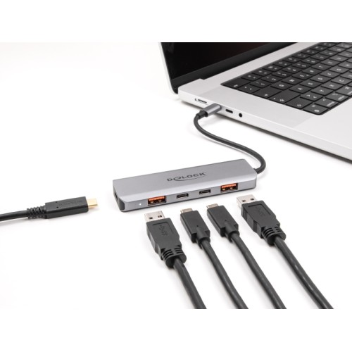 Delock USB 10 Gbps 2 Port USB Type-A + 2 Port USB Type-C™ Hub with USB Type-C™ connector and PD 95 Watt
